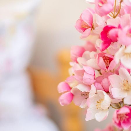 Guesthouse Rose Σαράγεβο Εξωτερικό φωτογραφία